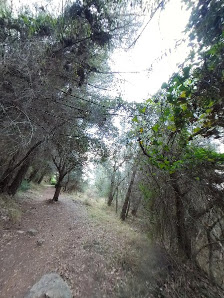 Photo 2 de Castellar