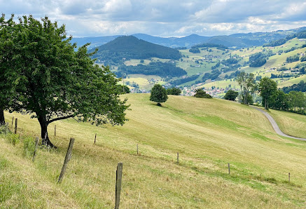Photo 1 de Col de Chamont