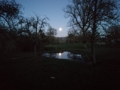 Photo 1 de Juvigny le Tertre