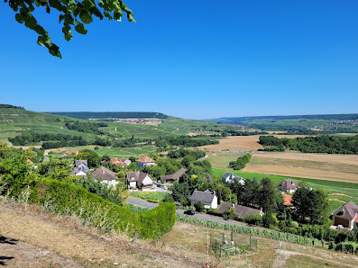 Photo 1 de Côte de Châtillon-sur-Marne