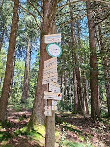 Photo 1 de Col des Sept Chemins