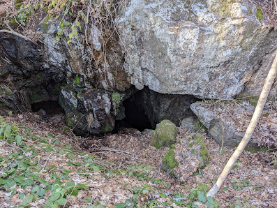 Photo 1 de La Colline de Ramonchamp