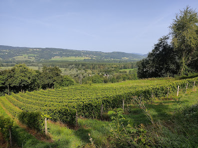 Photo 1 de Côte de Jongieux