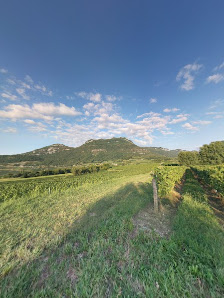 Photo 2 de Côte de Jongieux