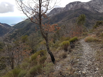 Photo 1 de Col des Banquettes