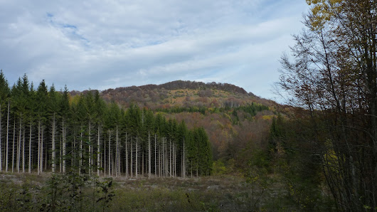 Photo 2 de Col du Mollard de Don