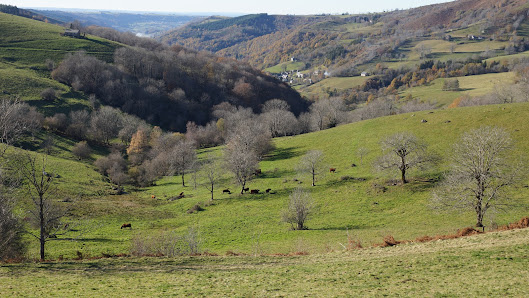 Photo 3 de Col du Bruel