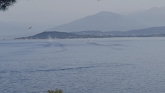 Photo 3 de Cote dde Coti-Chiavari