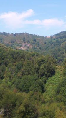 Photo 1 de Petricaggio