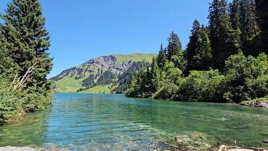 Photo 3 de Lac de Saint-Guérin