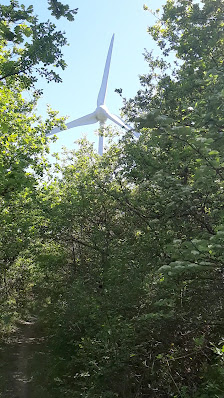 Photo 2 de Côte de Puy-Saint-Martin