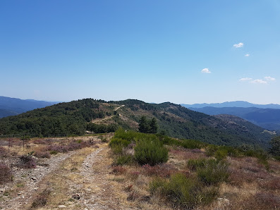 Photo 2 de Montée de Plan de Fontmort