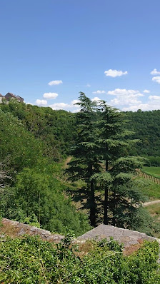 Photo 3 de Côte de Château-Chalon