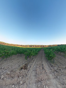 Photo 2 de Cote Lambesc