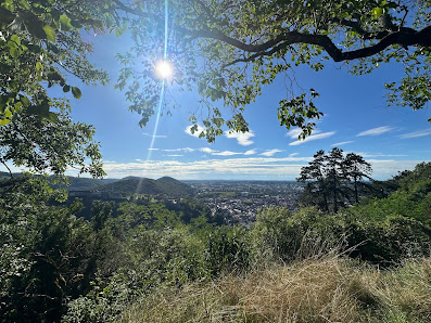 Photo 2 de Fort de Brégille