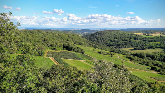 Photo 1 de Côte de Mavilly-Mandelot