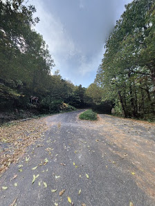 Photo 2 de Coll de la Brossa