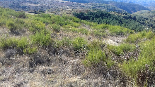 Photo 2 de Puech Cambel