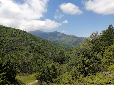 Photo 1 de Col Palomère