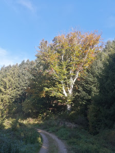 Photo 1 de Villemagne