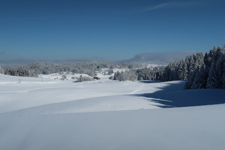 Photo 2 de Montée de la Combe de Laisia Les Molunes