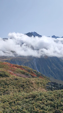 Photo 2 de Domaine du Tour