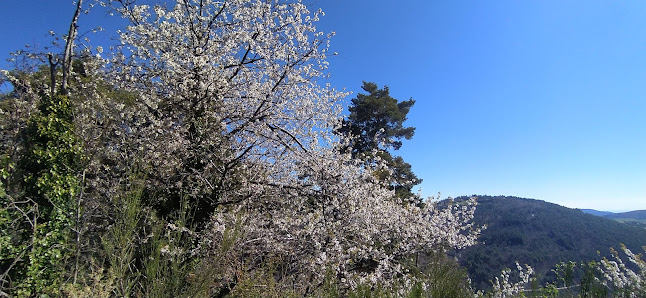 Photo 2 de Col du Marchand
