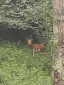 Photo 1 de Côte de Montoulieu St Bernard