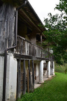 Photo 1 de Roncoi