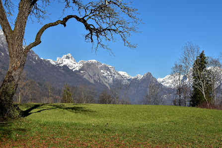 Photo 2 de Roncoi
