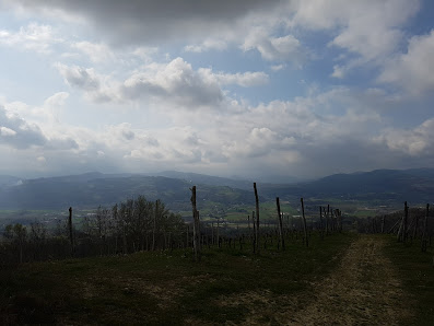 Photo 1 de Roncogennaro