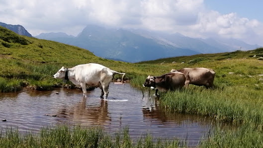 Photo 3 de Passo Valles