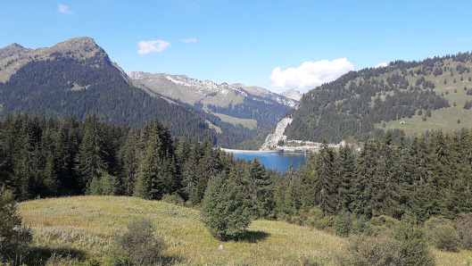Photo 2 de Col de la Pierre du Möellé