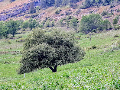 Photo 2 de Colle San Giovanni