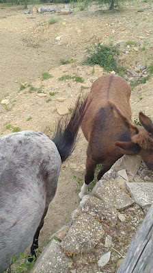 Photo 3 de Vagliagli