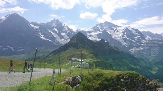 Photo 3 de Mannlichen