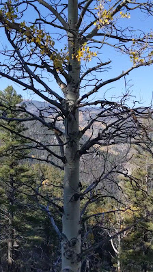Photo 2 de Bobcat Pass