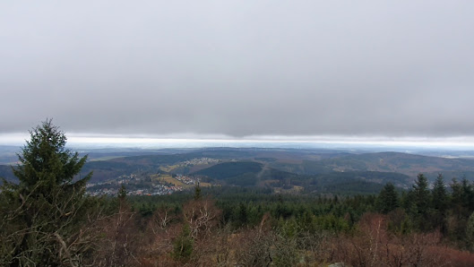 Photo 3 de Großer Feldberg