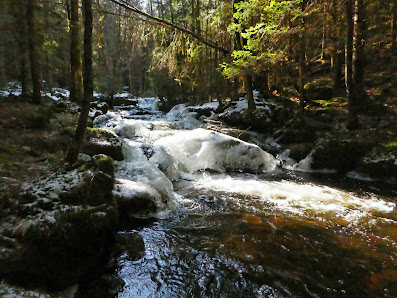 Photo 1 de Horny Halze