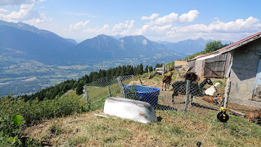 Photo 2 de Châlet de l'Ebaudiaz