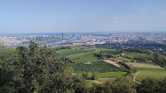 Photo 2 de Kahlenberg