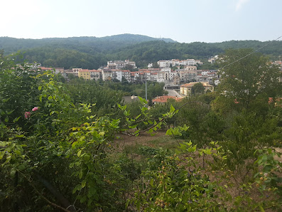 Photo 1 de Tornareccio