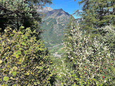 Photo 2 de Col de Parquetout