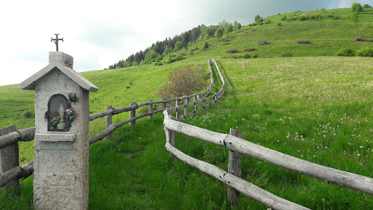 Photo 2 de Velo Veronese