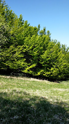Photo 3 de Monte della Faiola