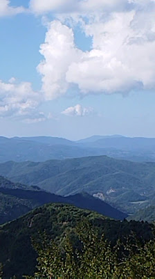 Photo 2 de Passo del Muraglione