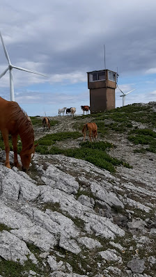 Photo 3 de Mont Tauch