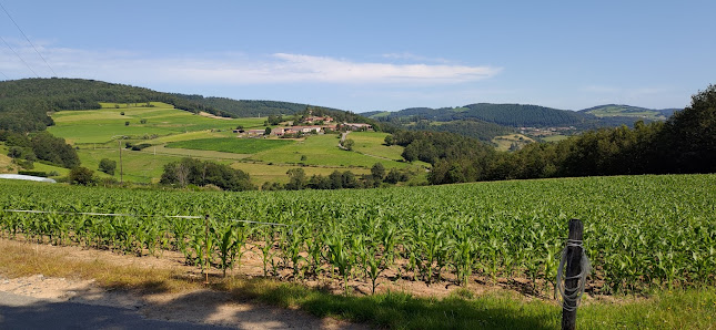 Photo 1 de Yzeron