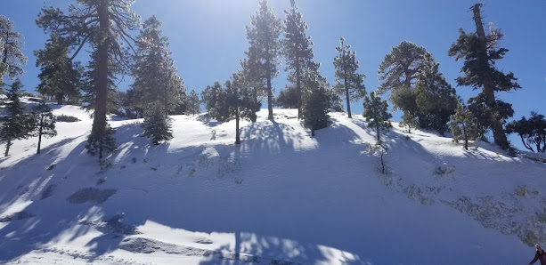 Photo 1 de Big Pines