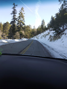 Photo 2 de Big Pines